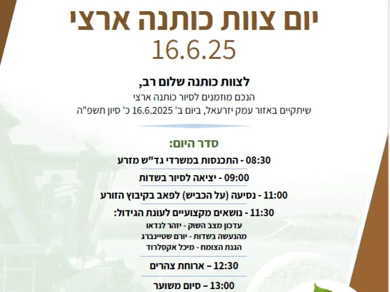 צוות כותנה